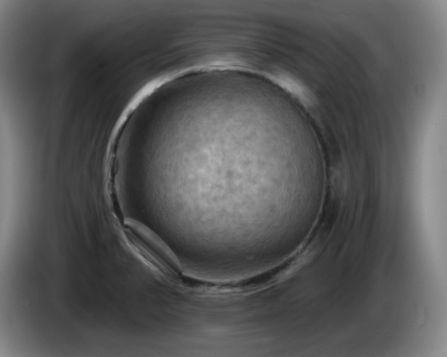 X0000085301374200703091422