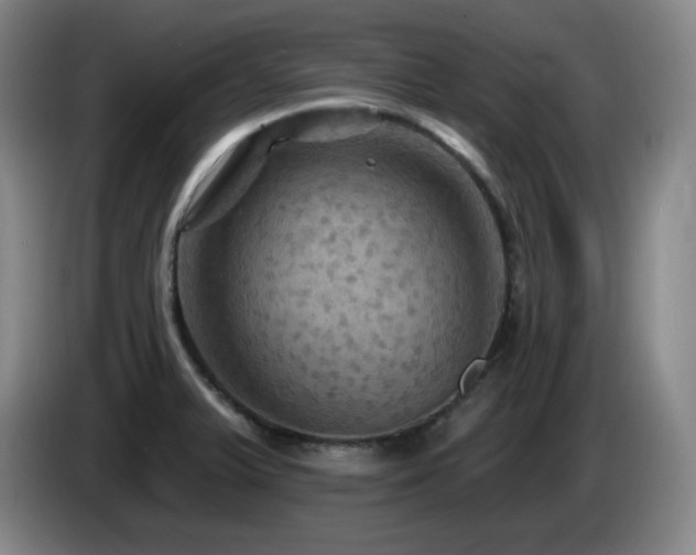 X0000085301375200703091422