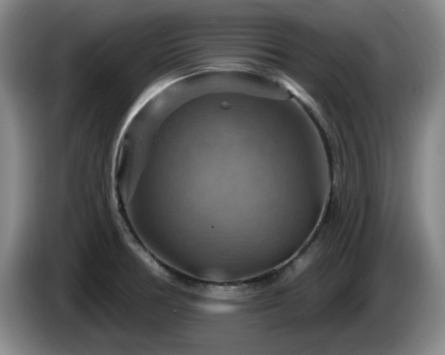 X0000085301378200703091422