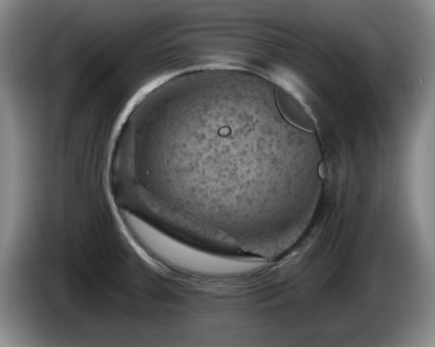 X0000085301379200703091422