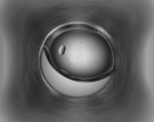 X0000085301380200703091422