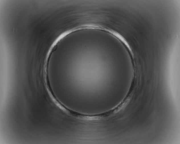 X0000085301381200703091422