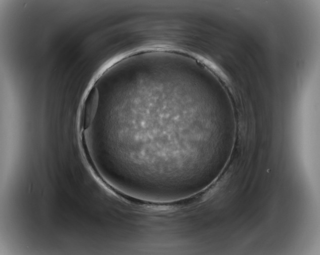 X0000085301382200703091422