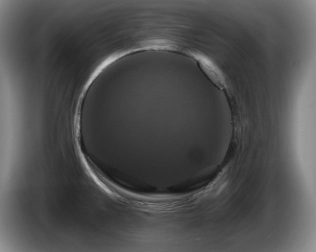 X0000085301383200703091422