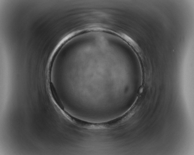 X0000085301384200703091422