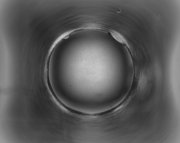 X0000085301387200703091422