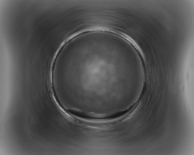 X0000085301388200703091422