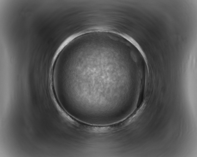 X0000085301389200703091422