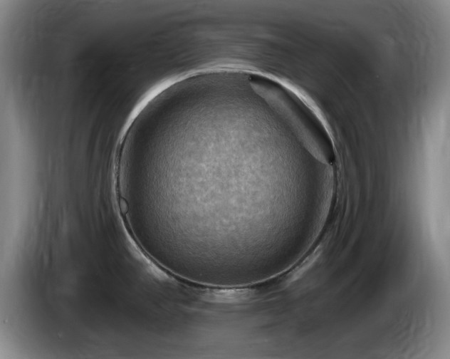 X0000085301390200703091422