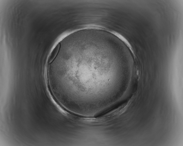 X0000085301391200703091422