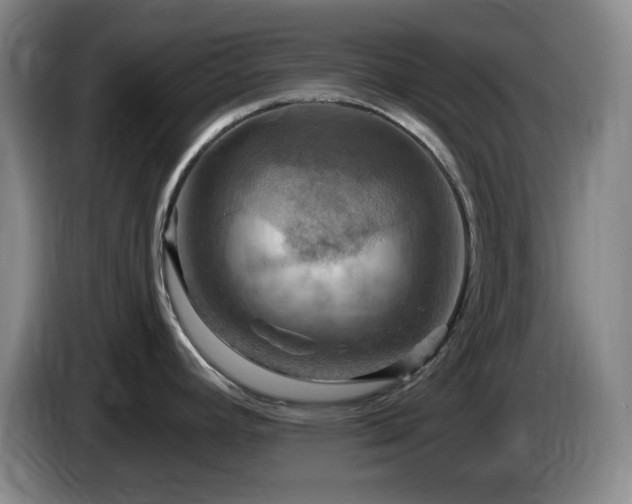 X0000085301392200703091422