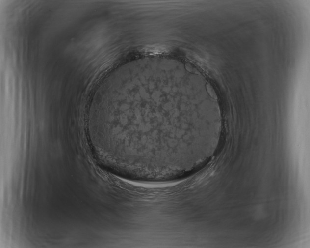 X0000085301393200703091421