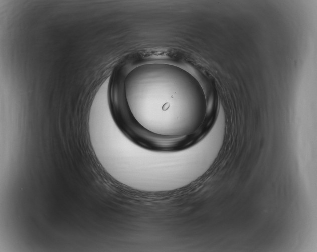 X0000085301394200703091421