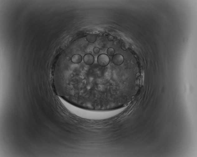 X0000085301395200703091421