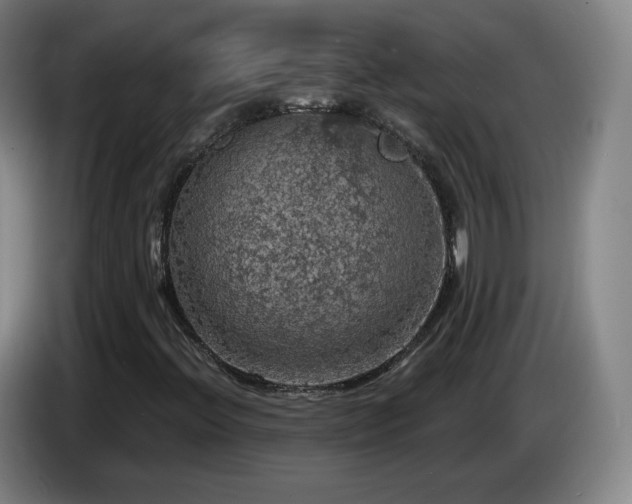 X0000085301396200703091421