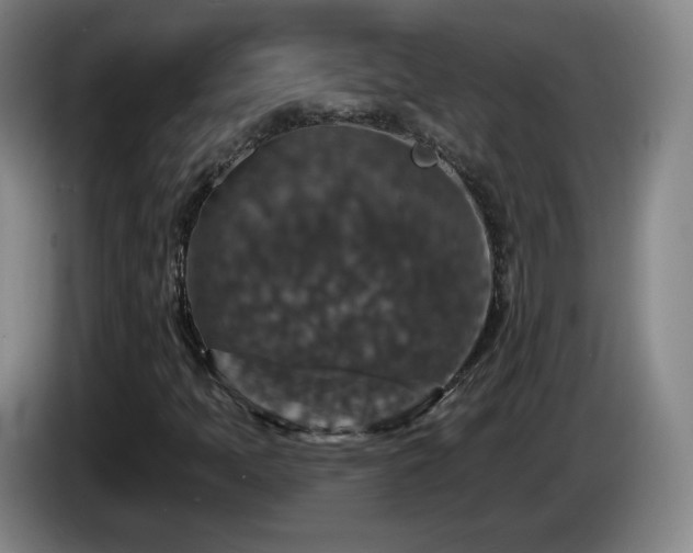 X0000085301397200703091421