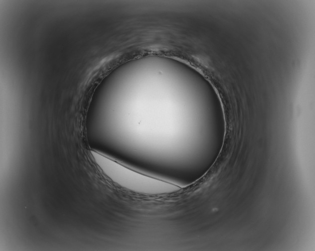 X0000085301398200703091421