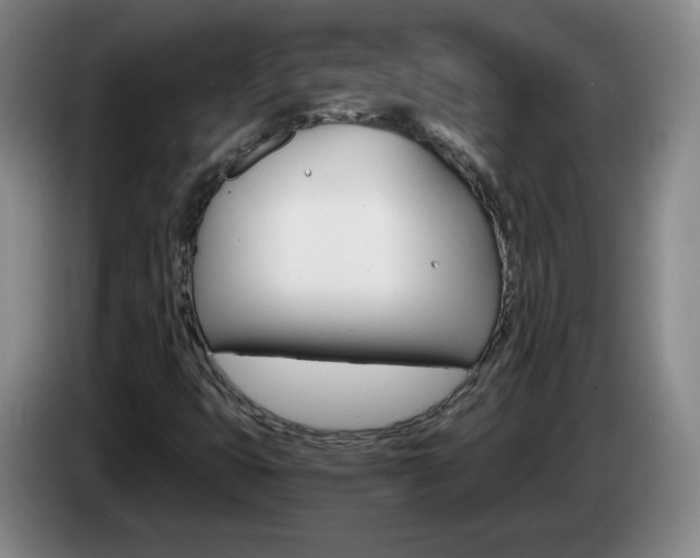 X0000085301399200703091421