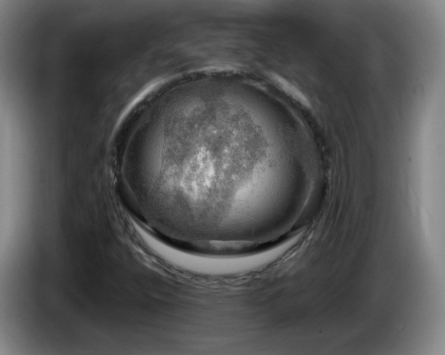 X0000085301400200703091421