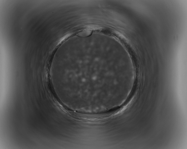 X0000085301401200703091421