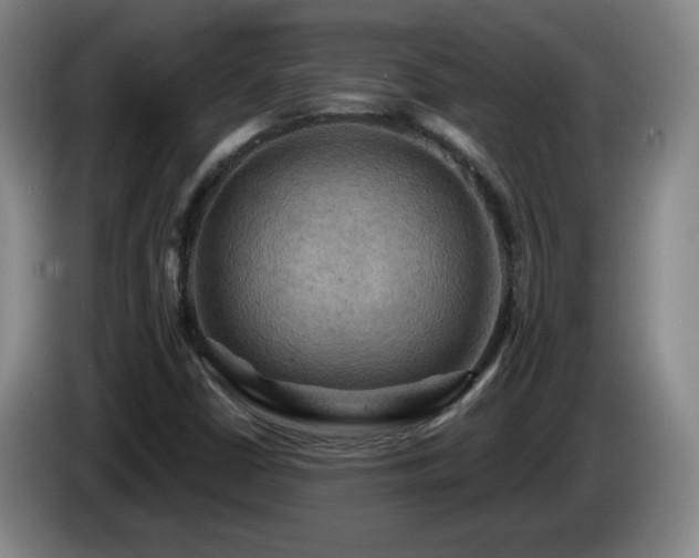 X0000085301402200703091421