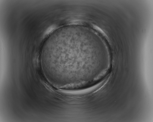 X0000085301403200703091421