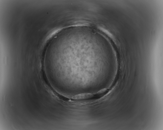 X0000085301407200703091421