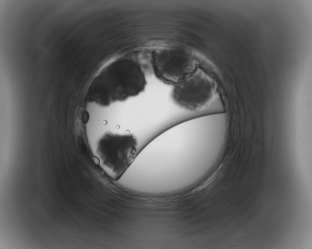 X0000085301409200703091421