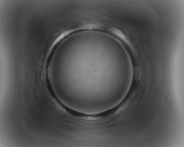 X0000085301412200703091422