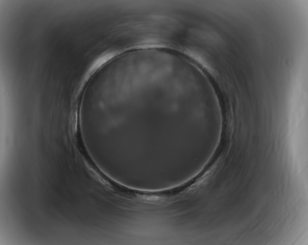 X0000085301413200703091422