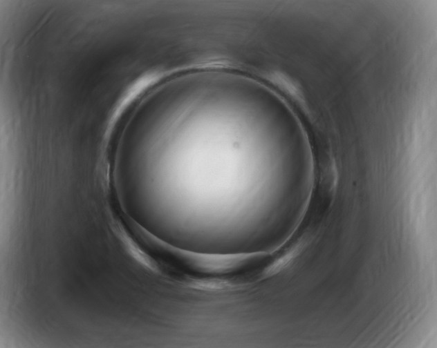 X0000085301414200703091422