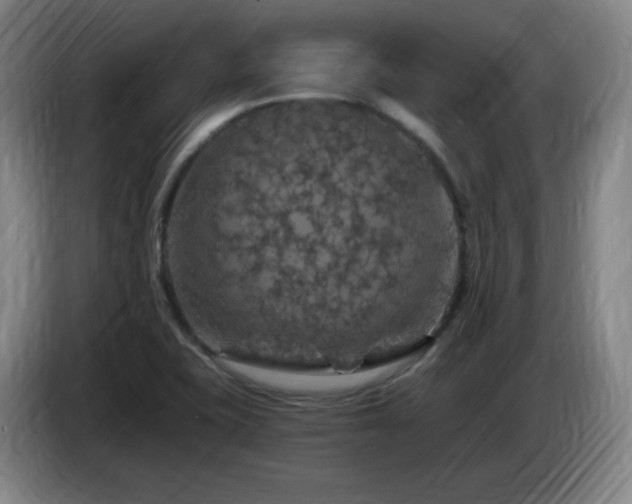 X0000085301415200703091422