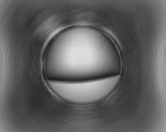 X0000085301416200703091422