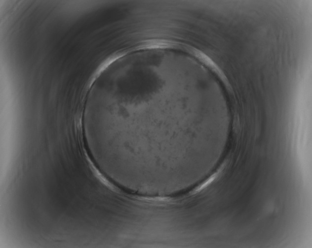 X0000085301417200703091422