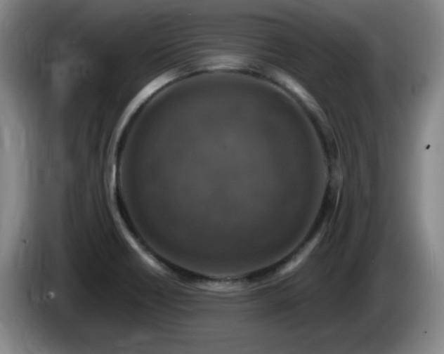 X0000085301418200703091422