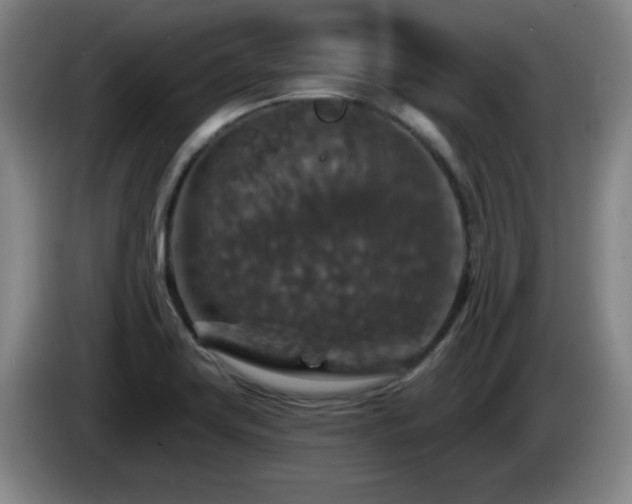 X0000085301419200703091422