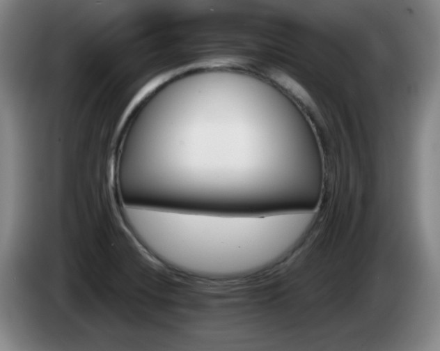 X0000085301420200703091422