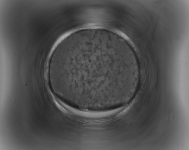 X0000085301421200703091422