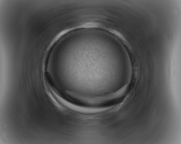 X0000085301422200703091422