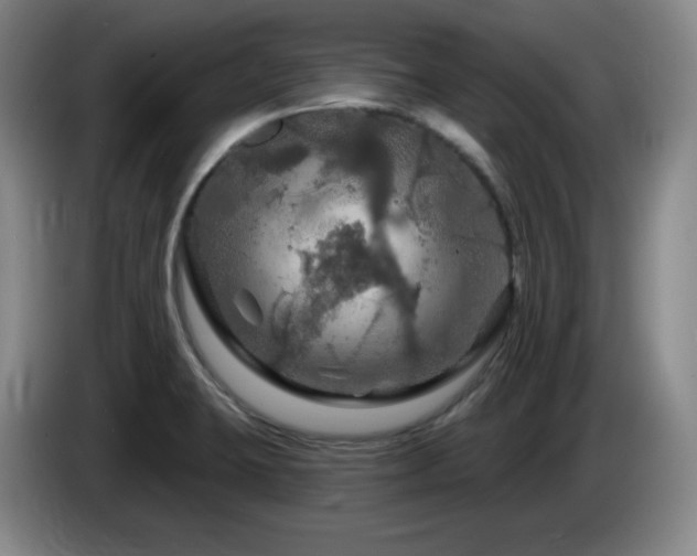 X0000085301423200703091422