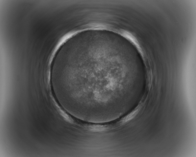 X0000085301424200703091422