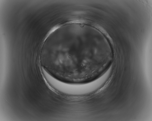 X0000085301425200703091422