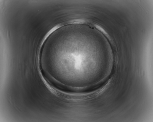 X0000085301426200703091422