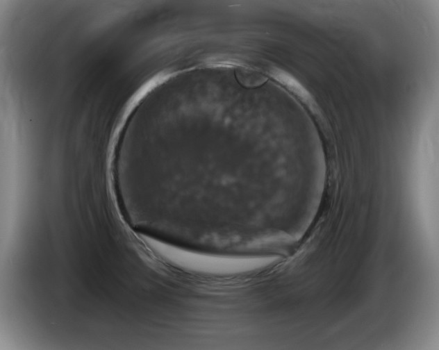 X0000085301427200703091422