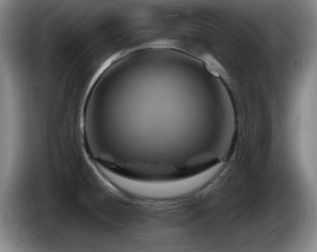 X0000085301428200703091422