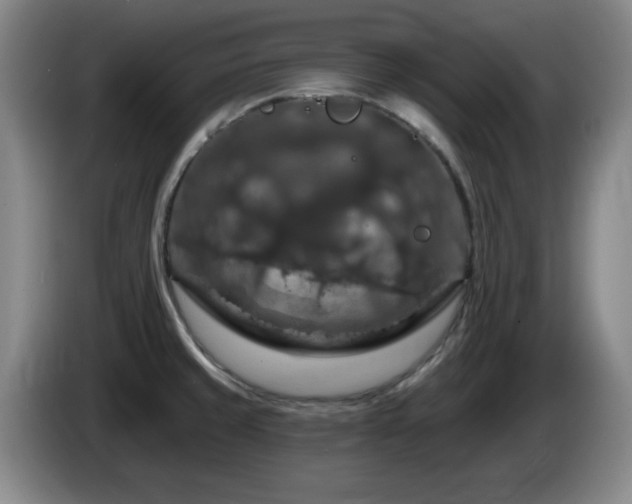 X0000085301429200703091422