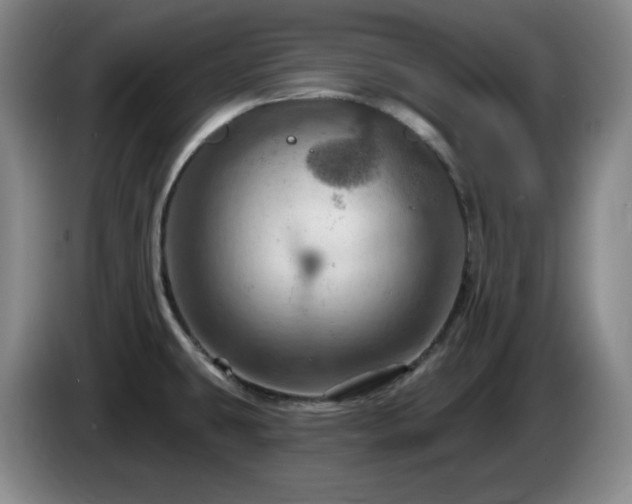 X0000085301431200703091422