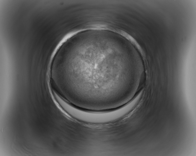 X0000085301432200703091422