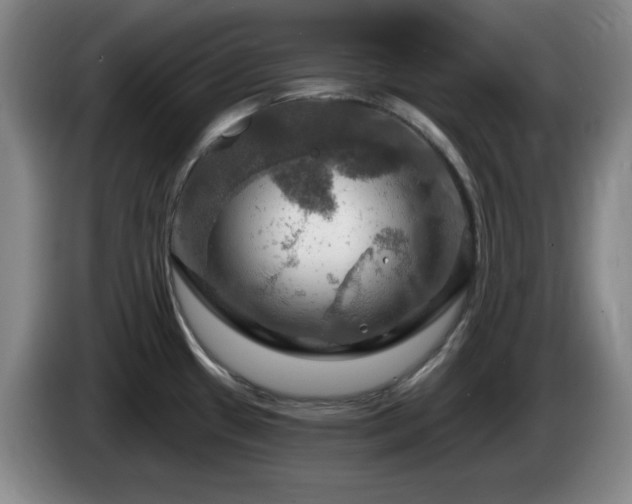 X0000085301433200703091422