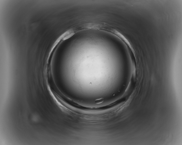 X0000085301434200703091422